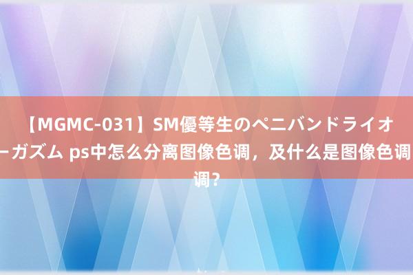 【MGMC-031】SM優等生のペニバンドライオーガズム ps中怎么分离图像色调，及什么是图像色调？