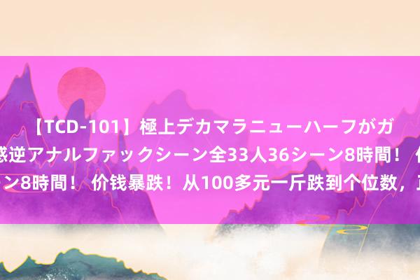 【TCD-101】極上デカマラニューハーフがガン掘り前立腺直撃快感逆アナルファックシーン全33人36シーン8時間！ 价钱暴跌！从100多元一斤跌到个位数，正多量上市