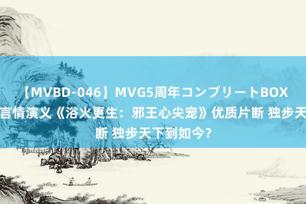 【MVBD-046】MVG5周年コンプリートBOX ゴールド 言情演义《浴火更生：邪王心尖宠》优质片断 独步天下到如今？