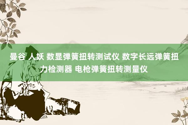 曼谷 人妖 数显弹簧扭转测试仪 数字长远弹簧扭力检测器 电枪弹簧扭转测量仪