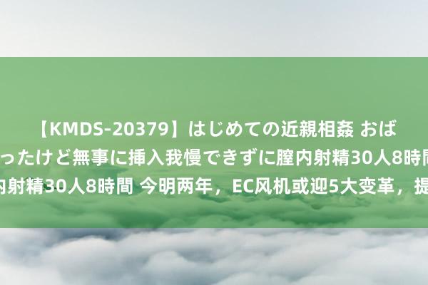 【KMDS-20379】はじめての近親相姦 おばさんの誘いに最初は戸惑ったけど無事に挿入我慢できずに膣内射精30人8時間 今明两年，EC风机或迎5大变革，提前了解！