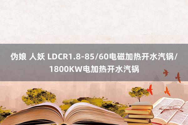 伪娘 人妖 LDCR1.8-85/60电磁加热开水汽锅/1800KW电加热开水汽锅