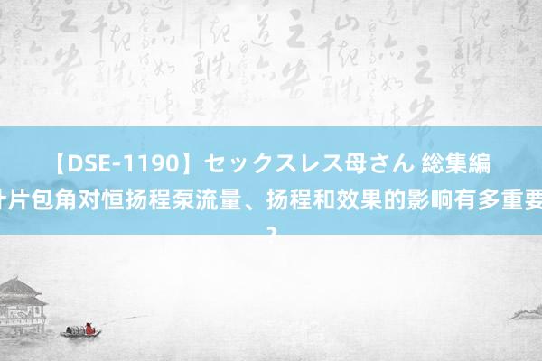 【DSE-1190】セックスレス母さん 総集編 叶片包角对恒扬程泵流量、扬程和效果的影响有多重要？