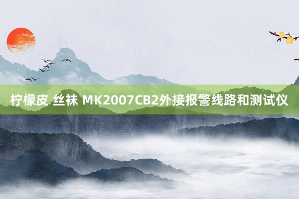 柠檬皮 丝袜 MK2007CB2外接报警线路和测试仪