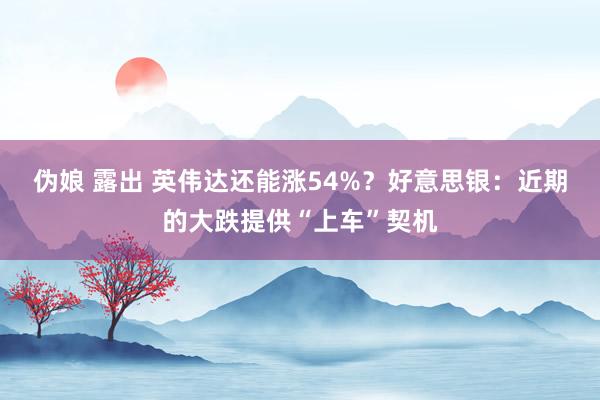 伪娘 露出 英伟达还能涨54%？好意思银：近期的大跌提供“上车”契机