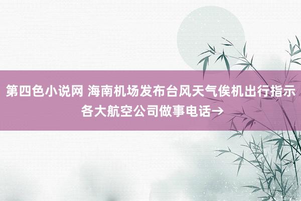 第四色小说网 海南机场发布台风天气俟机出行指示 各大航空公司做事电话→