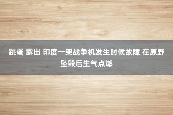 跳蛋 露出 印度一架战争机发生时候故障 在原野坠毁后生气点燃