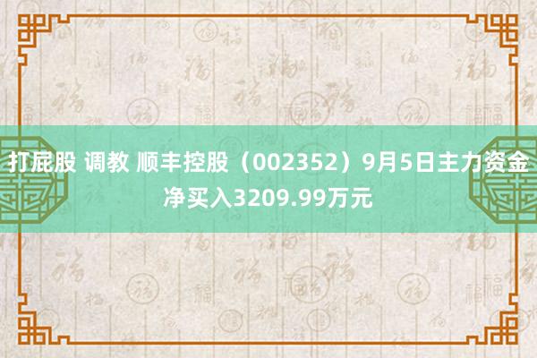 打屁股 调教 顺丰控股（002352）9月5日主力资金净买入3209.99万元