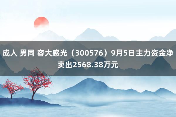 成人 男同 容大感光（300576）9月5日主力资金净卖出2568.38万元