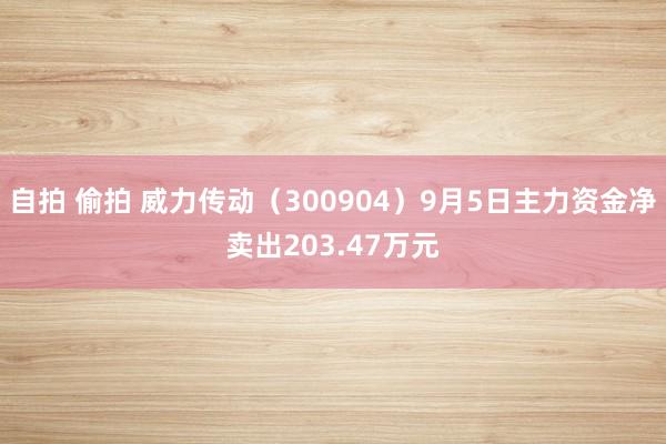 自拍 偷拍 威力传动（300904）9月5日主力资金净卖出203.47万元