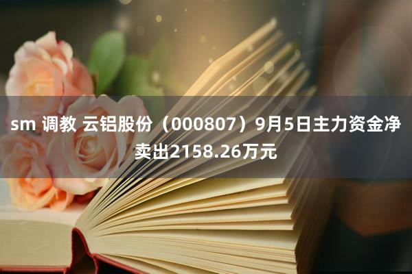 sm 调教 云铝股份（000807）9月5日主力资金净卖出2158.26万元