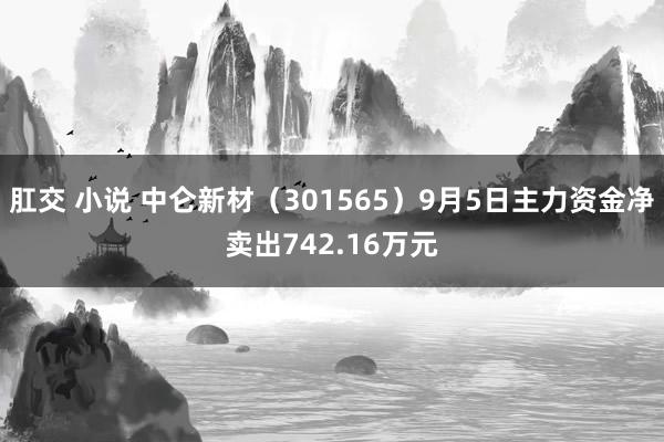 肛交 小说 中仑新材（301565）9月5日主力资金净卖出742.16万元