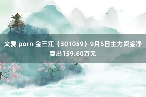 文爱 porn 金三江（301059）9月5日主力资金净卖出159.60万元