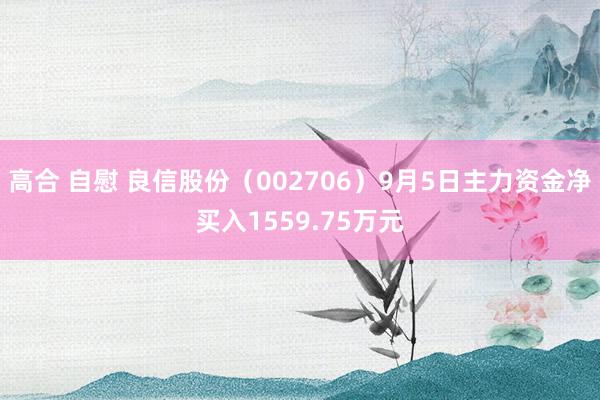 高合 自慰 良信股份（002706）9月5日主力资金净买入1559.75万元