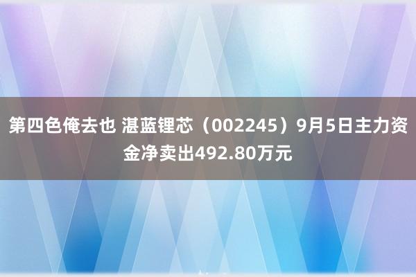 第四色俺去也 湛蓝锂芯（002245）9月5日主力资金净卖出492.80万元