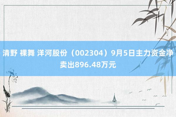 清野 裸舞 洋河股份（002304）9月5日主力资金净卖出896.48万元