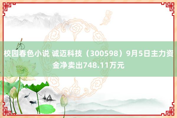 校园春色小说 诚迈科技（300598）9月5日主力资金净卖出748.11万元