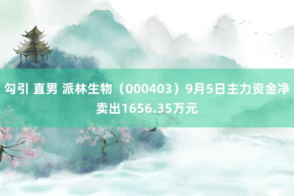 勾引 直男 派林生物（000403）9月5日主力资金净卖出1656.35万元