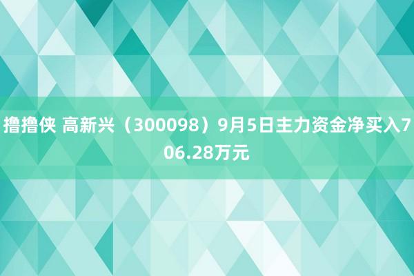 撸撸侠 高新兴（300098）9月5日主力资金净买入706.28万元