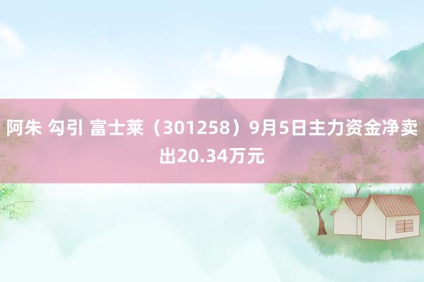 阿朱 勾引 富士莱（301258）9月5日主力资金净卖出20.34万元