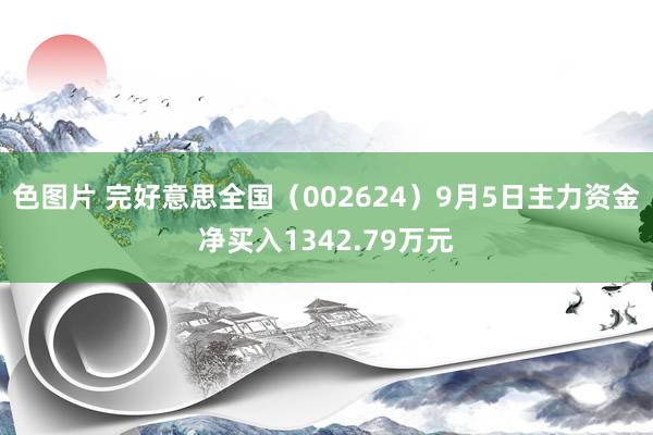 色图片 完好意思全国（002624）9月5日主力资金净买入1342.79万元