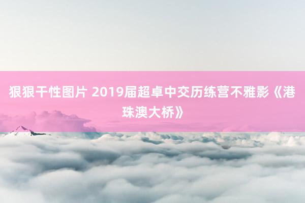 狠狠干性图片 2019届超卓中交历练营不雅影《港珠澳大桥》