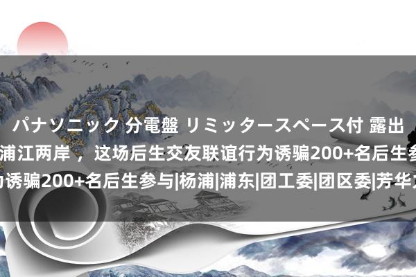 パナソニック 分電盤 リミッタースペース付 露出・半埋込両用形 杰出浦江两岸 ，这场后生交友联谊行为诱骗200+名后生参与|杨浦|浦东|团工委|团区委|芳华力量