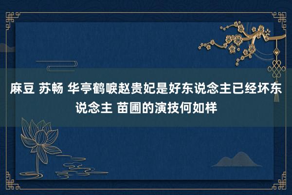 麻豆 苏畅 华亭鹤唳赵贵妃是好东说念主已经坏东说念主 苗圃的演技何如样