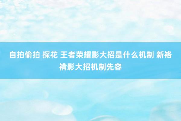 自拍偷拍 探花 王者荣耀影大招是什么机制 新袼褙影大招机制先容